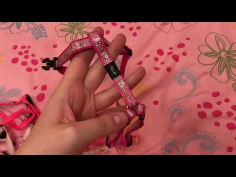 Видео: Вся амуниция моей собаки