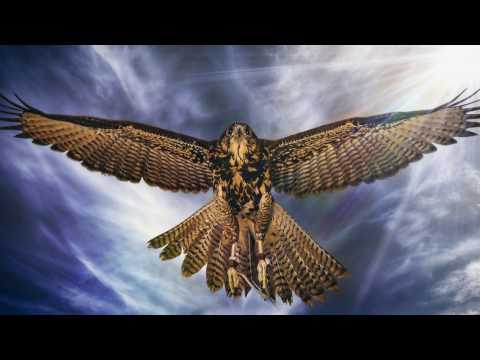 Видео: Майндфулнесс