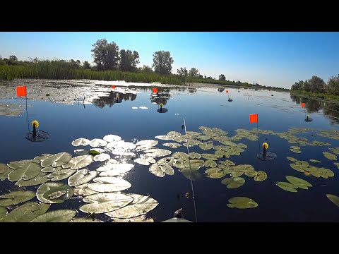Видео: Рыбалка на ЛЕТНИЕ ЖЕРЛИЦЫ! Щука сходит с ума от этой снасти!