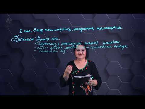Видео: Жылдам, баяу жиырылатын бұлшықет ұлпаларының құрылысы. 1 бөлім. 10 сынып.