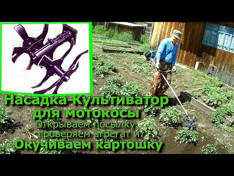 Видео: НАСАДКА-КУЛЬТИВАТОР для мотокосы. Открываем посылку. Проверяем агрегат. Окучиваем картошку