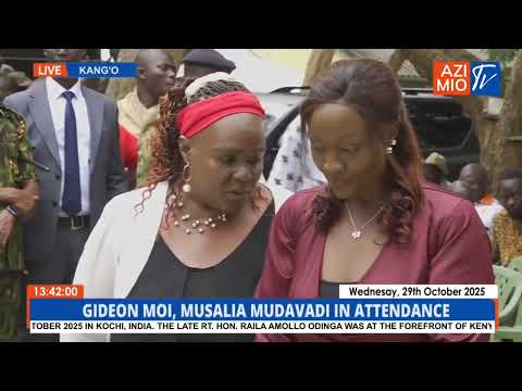 Видео: Бывший полицейский Ригати в шоке от посещения семьей его брата Ндериту Гачагуа могилы Раилы Одинг...