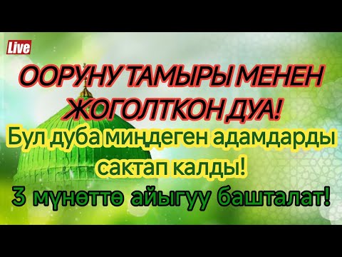 Видео: Бул дуба менен оорунун изи да калбайт!🍃 Дароо айыгуу башталат! 💫