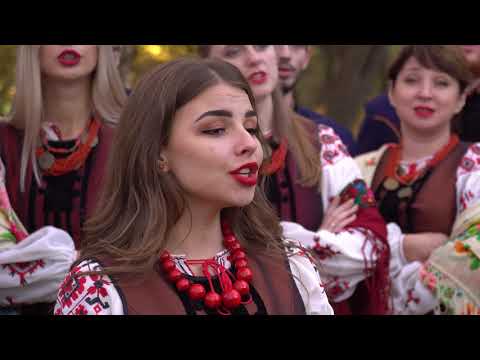 Видео: Ой у гаю при Дунаю - Академічний камерний хор "Хрещатик" - Khreschatyk Choir