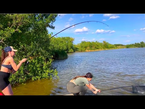 Видео: Мокрий ліфчик кличе КОРОПА. Рибалка на флет у розпалі🔥