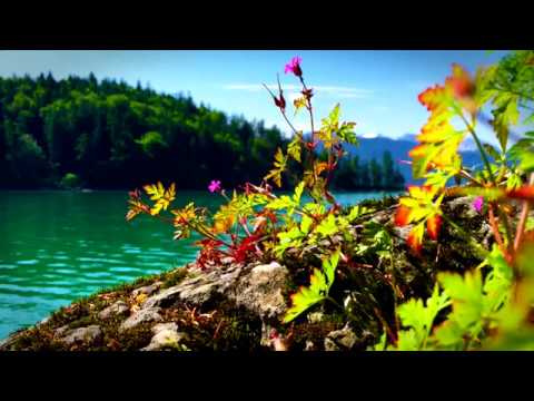 Видео: Музыка для стретчинга/растяжки. MUSIC FOR STRETCHING. Релакс.