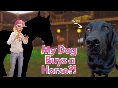 Видео: Моя собака выбирает, какую лошадь мне купить?! || Star Stable