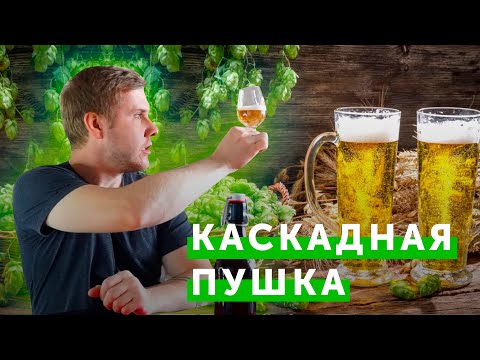 Видео: Дегустация пива  с сухим охмелением и без / «Каскадная пушка» / Анонс мини-проекта