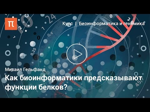 Видео: Биоинформатика как дисциплина — Михаил Гельфанд