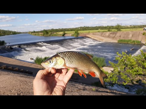 Видео: Рыбалка на головля река ингулец