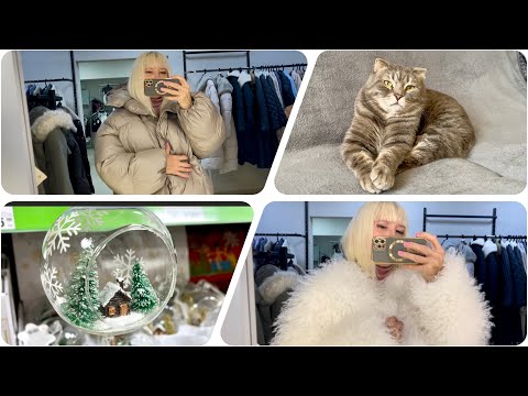 Видео: Влог/ Готовимся к Новому Году. Примерка верхней одежды. Чем заняты котики 