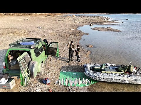 Видео: НА ЖЕРЕХА🎣 С ТОШКОЙ 🌊РЕКА ИЛИ💫