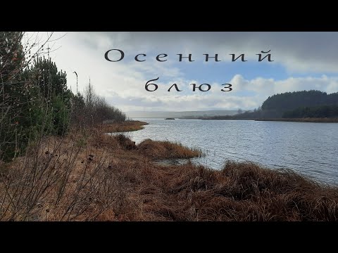 Видео: Осенний блюз. Blues Delight - Slightly Hung Over