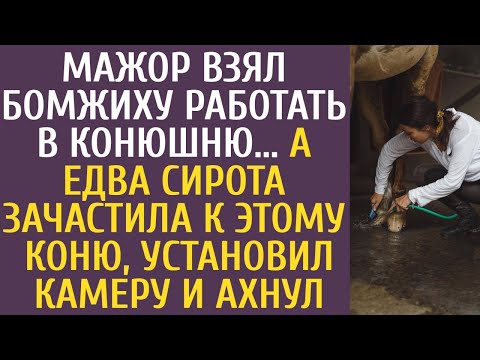 Видео: Мажор взял бомжиху работать в конюшню А едва сирота зачастила к ЭТОМУ коню, установил камеру и ахнул