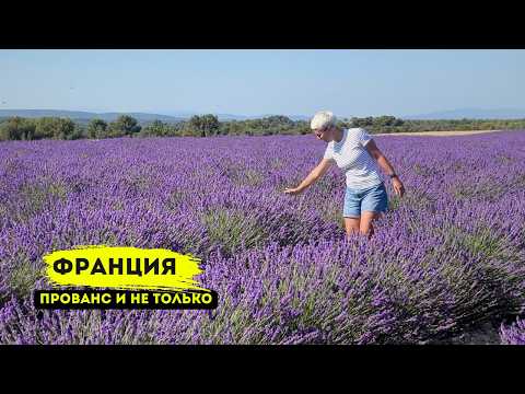 Видео: ФРАНЦИЯ | Прованс, Грасс и Самый Большой Мост в Мире!