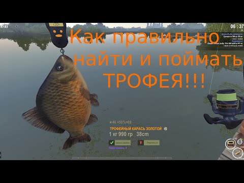 Видео: theFisher Online /Как найти и поймать ТРОФЕЯ!!!