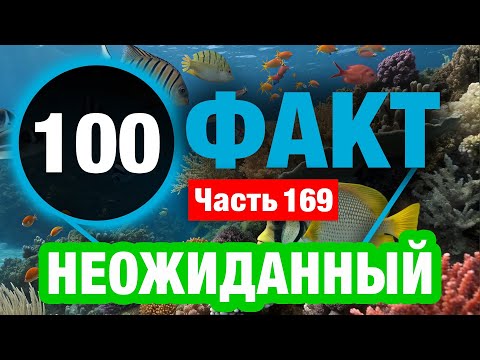 Видео: 100 Удивительный Факт В Который Вы Не Поверите