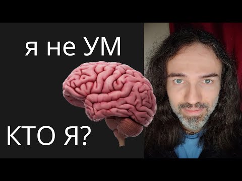 Видео: Как ПЕРЕЖИТЬ что я не УМ | ПРАКТИКА #осознанность #пробуждения #просветления #медитации