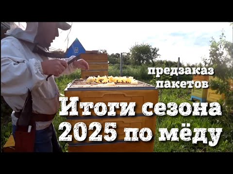 Видео: Продажа пакетов итоги сезона 2025 по мёду