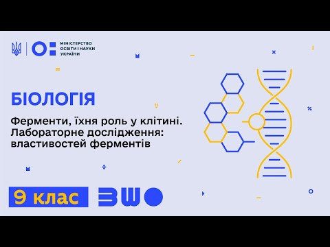 Видео: 9 клас. Біологія. Ферменти, їхня роль у клітині. Лабораторне дослідження: властивостей ферментів