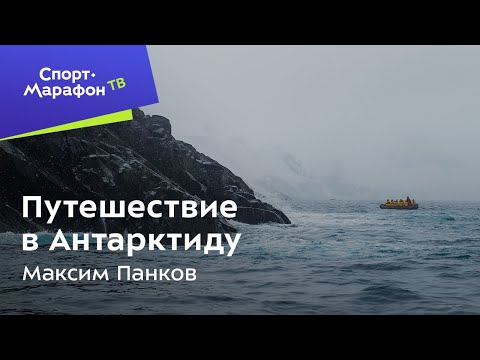 Видео: Путешествие в Антарктиду. Максим Панков