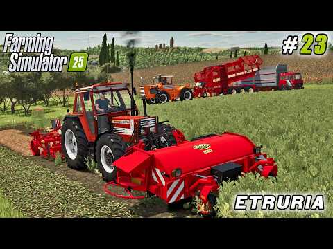 Видео: Посев пшеницы, модернизация уборки свеклы, измельчение свеклы для компоста | FS 25 | Ферма Этрури...