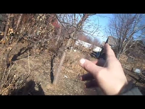 Видео: 14. В. Железов. Весенние наблюдения и работа в саду