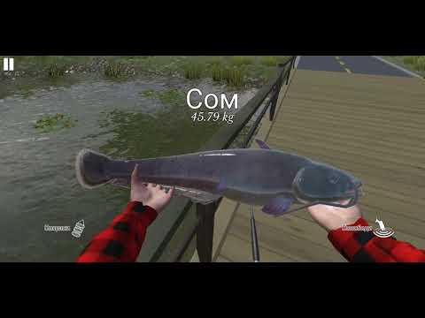 Видео: ultimate fishing simulator (android) классное место для ловли крупной рыбы