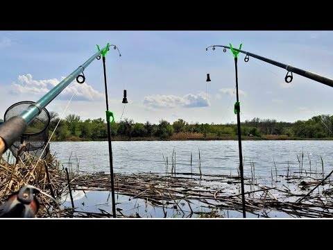 Видео: ЛОВЛЯ КАРАСЯ на ПРУЖИНЫ по СТАРИНКЕ