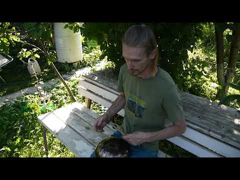 Видео: Как не нужно играть на глюкофоне при первом знакомстве с инструментом