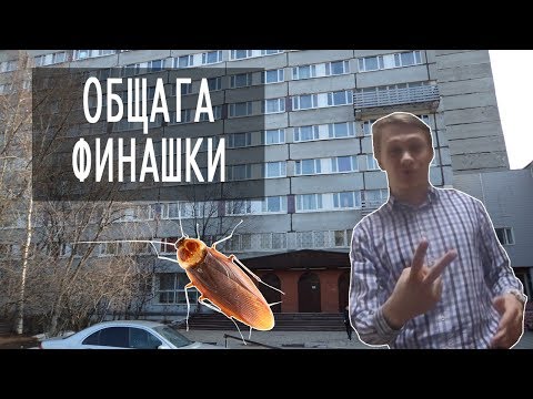 Видео: ОБЗОР ОБЩЕЖИТИЯ ФИНАНСОВОГО УНИВЕРСИТЕТА