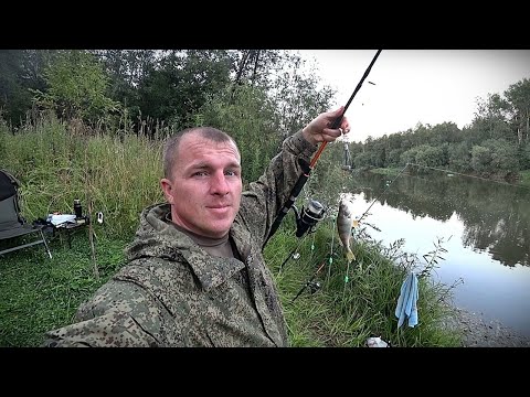 Видео: ЗАБРАЛСЯ В ДИЧЬ В ПОИСКАХ ТРОФЕЯ НА ДОНКИ И ФИДЕР С НОЧЁВКОЙ НА РЕКЕ...