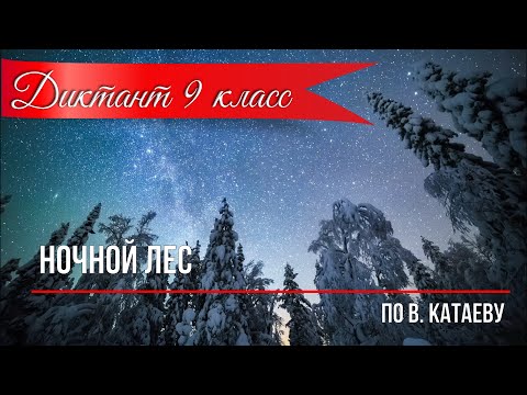 Видео: Диктант по русскому языку с проверкой! 9 класс.  Ночной лес