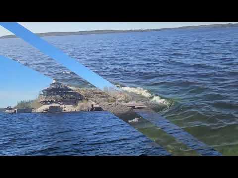 Видео: На сапборде по Ладожскому озеру на встречу с нерпами