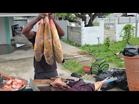 Видео: Осмотр ребенка в 3 месяца, гт-затопление