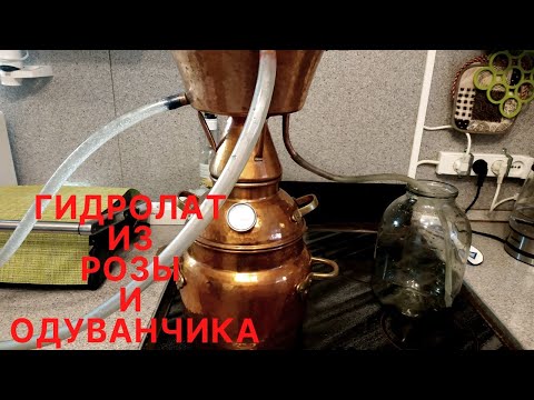 Видео: Гидролат из Розы и Одуванчика.