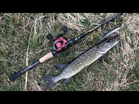 Видео: Твичинг с берега | DUO Moab 120F снова в строю