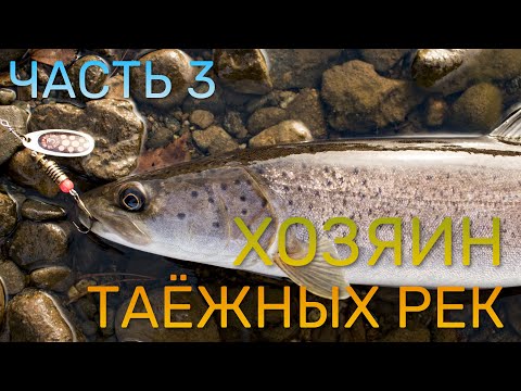 Видео: ХОЗЯИН ТАЕЖНЫХ РЕК (Часть 3) - КСЮША ЛОВИТ ТАЙМЕНЯ и выигрывает
