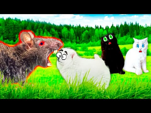Видео: Огромная КРЫСА ОТГРЫЗЛА Шанельке Нос??!!!!