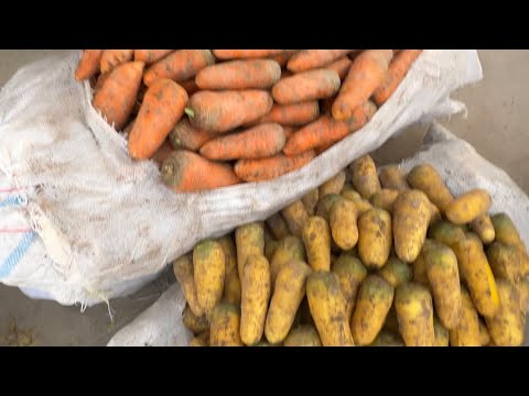 Видео: САМАРҚАНД. ОПТОМ. БОЗОР. ПИЁЗ. ЗАБЗИ ПАМИДОР. БОДРИНГ. КАРТОШКА. БАЛГАР. ЧИСНОК. УУЗУМ. КАРАМ. 🔥👍👈