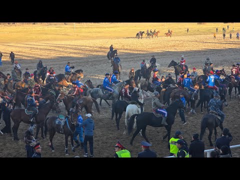 Видео: Сыйлоо аземи Талас чемпион 🏆