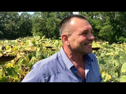 Видео: Бинарные посевы Андрея Усова