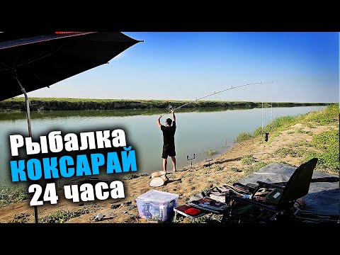 Видео: Рыбалка С Ночёвкой Что-то Шевелилось у Палатки… и Это Был не Карп