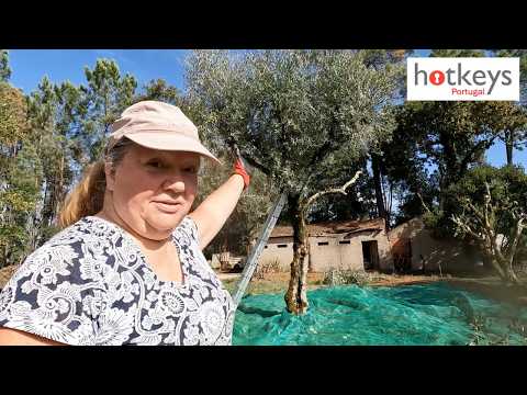 Видео: ПРАЗДНОВАНИЕ ДНЯ оливкового масла и крупных событий EP100