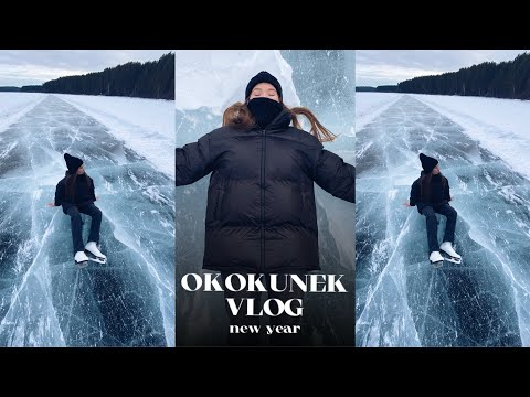 Видео: VLOG | РЕМОНТ В КВАРТИРЕ | НОВЫЙ ГОД | МНОГО РАСПАКОВОК | КАТАЕМСЯ НА СНОУБОРДЕ | ГОТОВИМ МИМОЗУ