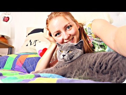 Видео: VLOG: НУ Я КАК ВСЕГДА! 23.09.15