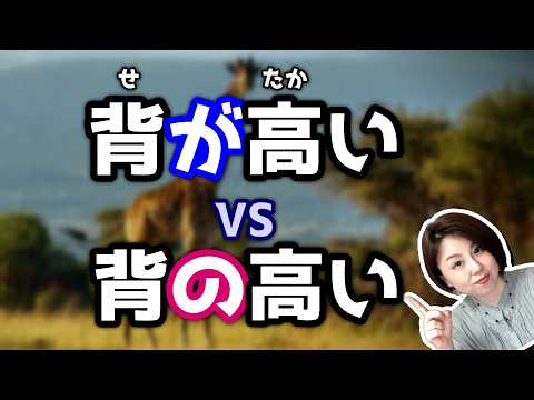 Видео: В чем разница между этими двумя понятиями? (Японское исследование)