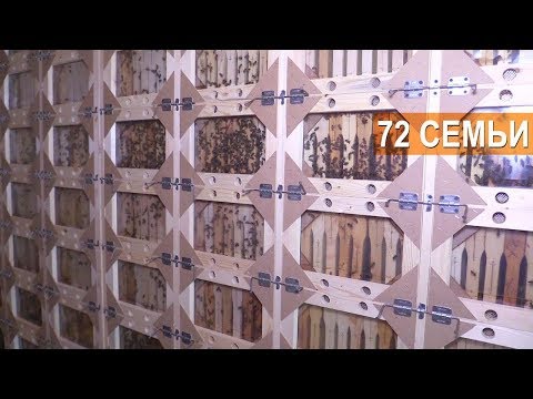 Видео: Пчеловодство. Кассетный павильон на 72 семьи. ПАСЕКА БЕРЕНДЕЙ