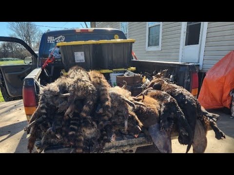 Видео: Подробная схема строительства силков/тросов. #ловушка #контрольхищников #ловец #управлениедомом