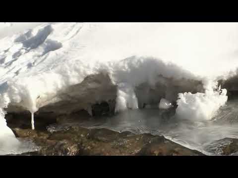 Видео: Заврон